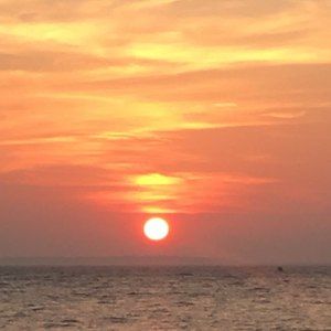 Meet your Posher, Tess